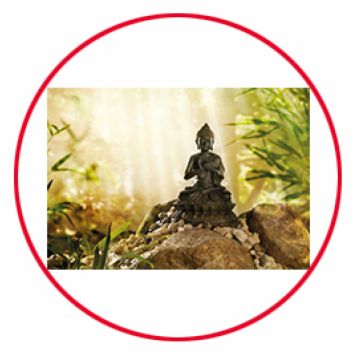 FOTOTAPET KOMAR BUDDHA 184X127CM