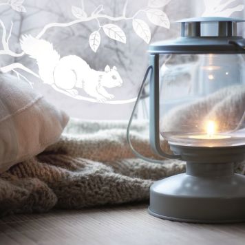 FOLIE D-C-FIX STATIC PREMIUM PINEVIEW 45CMX1,5M; NO.51