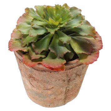 KUNSTIG PLANTE EMERALD ECHEVERIA 14CM ORANGE/GRØNN