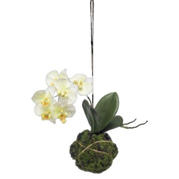 KUNSTIG PLANTE EMERALD PHALAENOPSIS 32CM GRØNN