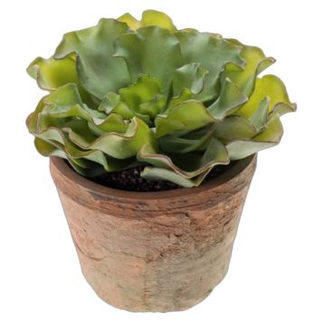 KUNSTIG PLANTE EMERALD ECHEVERIA 14CM GRÅ/GRØNN I POTTE 11CM