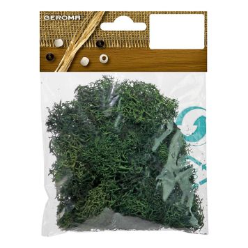 JULEPYNT ISLANDMOSE GRØNN 25G