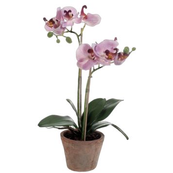 KUNSTIG PLANTE EMERALD PHALAENOPSIS 56CM LILLA