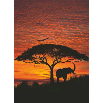 FOTOTAPET KOMAR AFRICAN SUNSET 194X270CM
