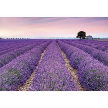 FOTOTAPET BAUHAUS PROVENCE 368X248CM