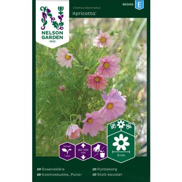 BLOMSTERFRØ NELSON GARDEN PYNTEKORG APRICOTTA