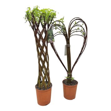 FLETTET PIL POTTE 19 CM