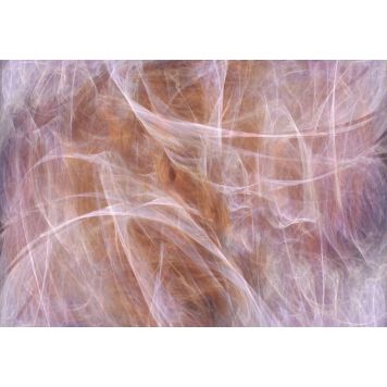 FOTOTAPET BAUHAUS COCOON 368X254CM