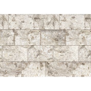 FOTOTAPET KOMAR BJØRK 368X254CM