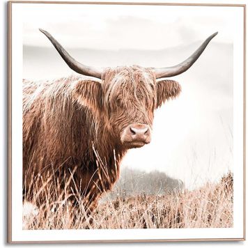 DEKORBILDE REINDERS NATURE COW SLIM RAMME 50X50CM TRE