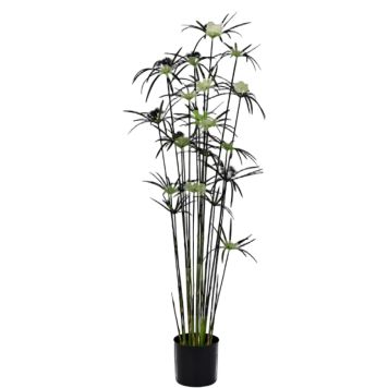 KUNSTIG PLANTE EMERALD CYPERUS 150CM I POTTE 19.5CM