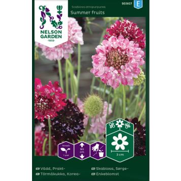 BLOMSTERFRØ NELSON GARDEN SØRGESKABIOSA SUMMER FRUITS