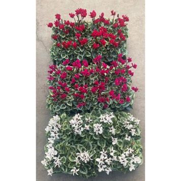 ALPEFIOL ULIKE FARGER 11CM