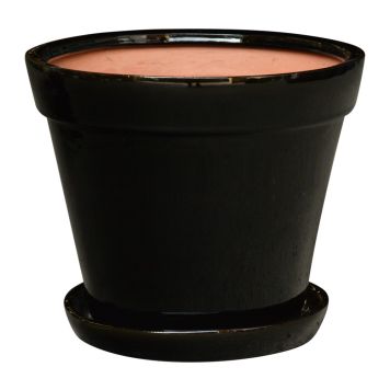POTTE CANNES SVART MED FAT 17CM