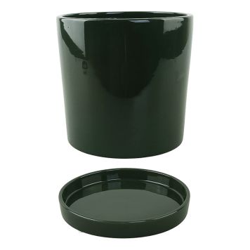 INNENDØRS POTTE PIARDINO SAMIRA DARK FOREST Ø17CM SVART