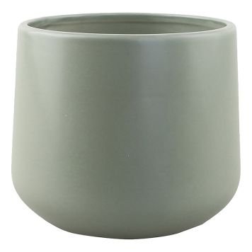 INNENDØRS POTTE PIARDINO LILY SAGE Ø20CM GRØNN
