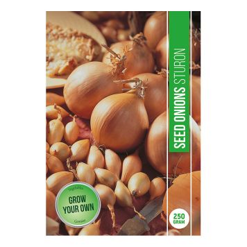GRØNNSAKSFRØ GUL LØK STURON 250G