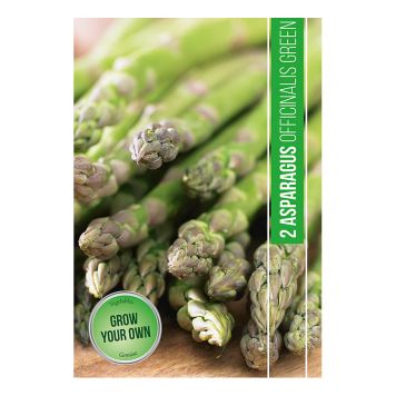 GRØNNSAKSFRØ SPARRIS ASPARGES 2 STK