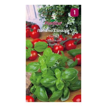KRYDDERURTER PIARDINO BASILIKA ITALIANO                    
