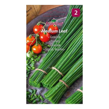 GRØNNSKASFRØ PIARDINO GRESSLØK MEDIUM LEAF 