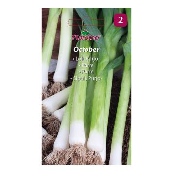 GRØNNSAKSFRØ PIARDINO PURRELØK OKTOBER