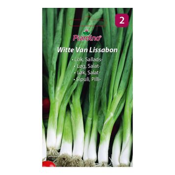 GRØNNSKASFRØ PIARDINO VÅRLØK SALAD WITTE VAN