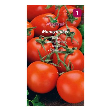 GRØNNSAKSFRØ PIARDINO TOMAT MONEYMAKER