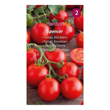GRØNNSKASFRØ PIARDINO TOMAT SPENCER 