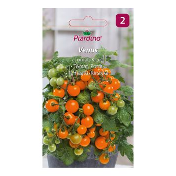 GRØNNSKASFRØ PIARDINO TOMAT VENUS