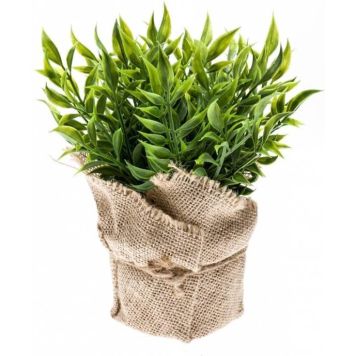 KUNSTPLANTE EMERALD RUSCUS 20CM GRØNN
