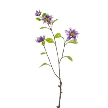 SNITTBLOMSTER EMERALD CLEMATIC 75CM LILLA