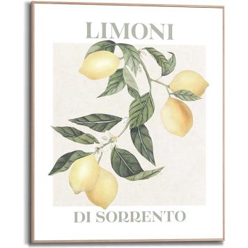 DEKORBILDE REINDERS SITRON SLIM RAMME 40X50CM TRE