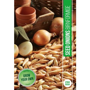 LØKFRØ GUL FRØ 250G