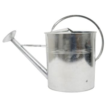 VATTENKANNA MED SPRIDARE 10 L GALVANISER