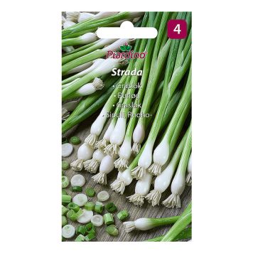 GRØNNSAKSFRØ PIARDINO LØK VINTER-STRADA