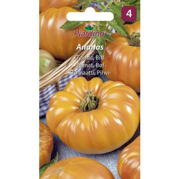 GRØNNSAKSFRØ PIARDINO TOMAT ANANAS