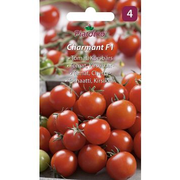 GRØNNSAKFRØ PIARDINO TOMAT CHARMANT H