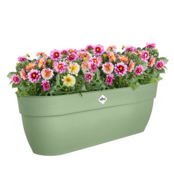 BLOMSTERKASSE ELHO VIBIA CAMPANA EASY HANGER XL 58CM GRØNN