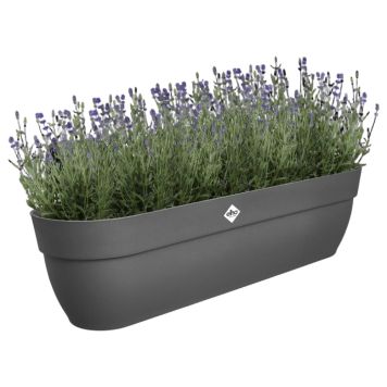 BLOMSTERKASSE ELHO VIBIA CAMPANA EASY HANGER XXL 70CM SVART