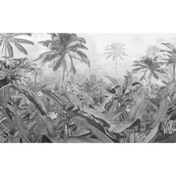 FOTOTAPET KOMAR AMAZONIA BLACK AND WHITE 400X250CM