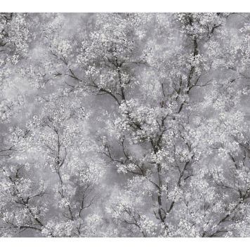 TAPET A.S CREATION LIVING WALLS CHERRO BLOSSOM GRÅ 37420-1                       