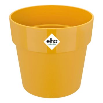 PLASTPOTTE ELHO B.FOR ORIGINAL Ø9CM ORCHE 