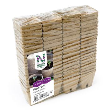 FIBERKRUKKE NELSON GARDEN 6X6CM 80STK