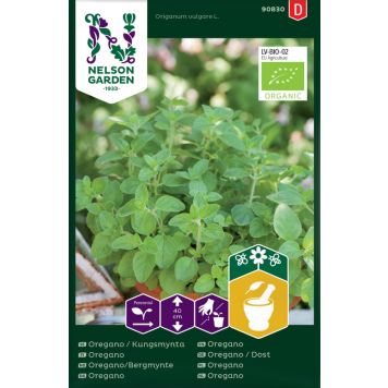 KRYDDERURTER NELSON GARDEN OREGANO/BERGMYNTE