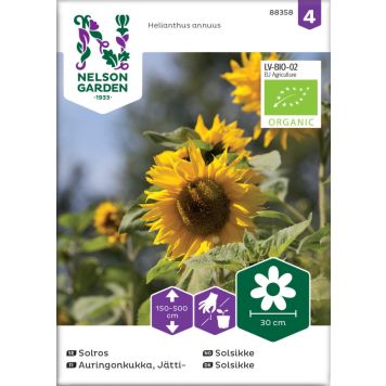 BLOMSTERFRØ NELSON GARDEN SOLSIKKE