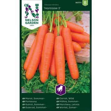 GRØNNSAKSFRØ NELSON GARDEN SOMMERGULROT 2 NANTAISE
