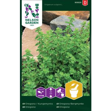 KRYDDERURTER NELSON GARDEN BERGMYNTE/OREGANO