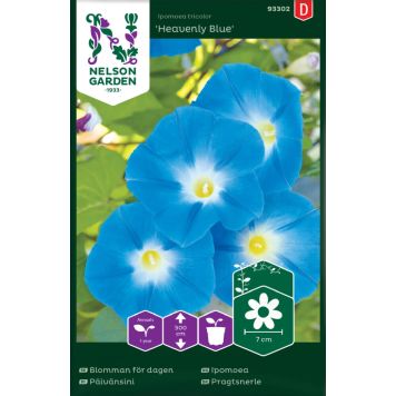 BLOMSTERFRØ NELSON GARDEN IPOMOEA HEAVENLY BLUE