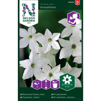 BLOMSTERFRØ NELSON GARDEN PRYDTOBAKK GRANDIFLORA 