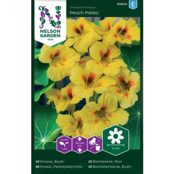 BLOMSTERFRØ NELSON GARDEN STOR BLOMKARSE PEACH MELBA 